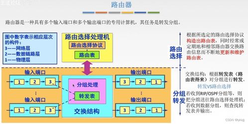 计算机网络 四下 网络层