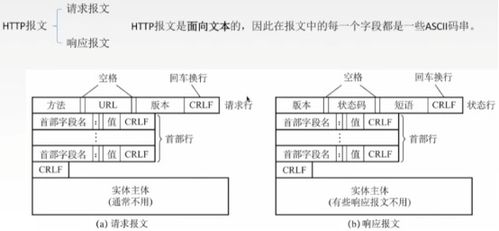 计算机网络学习笔记 vi 应用层