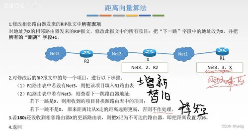 计算机网络 四下 网络层